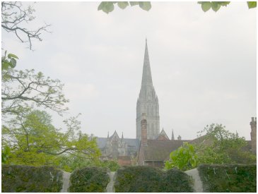 Salisbury cathedral spire view taken by a client from the pub garden where Harry organised lunch