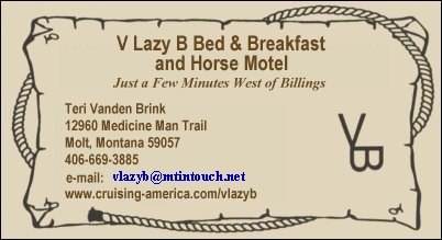 V Lazy B Ranch contact information
